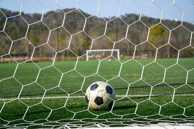 由于外籍球 由于外籍球