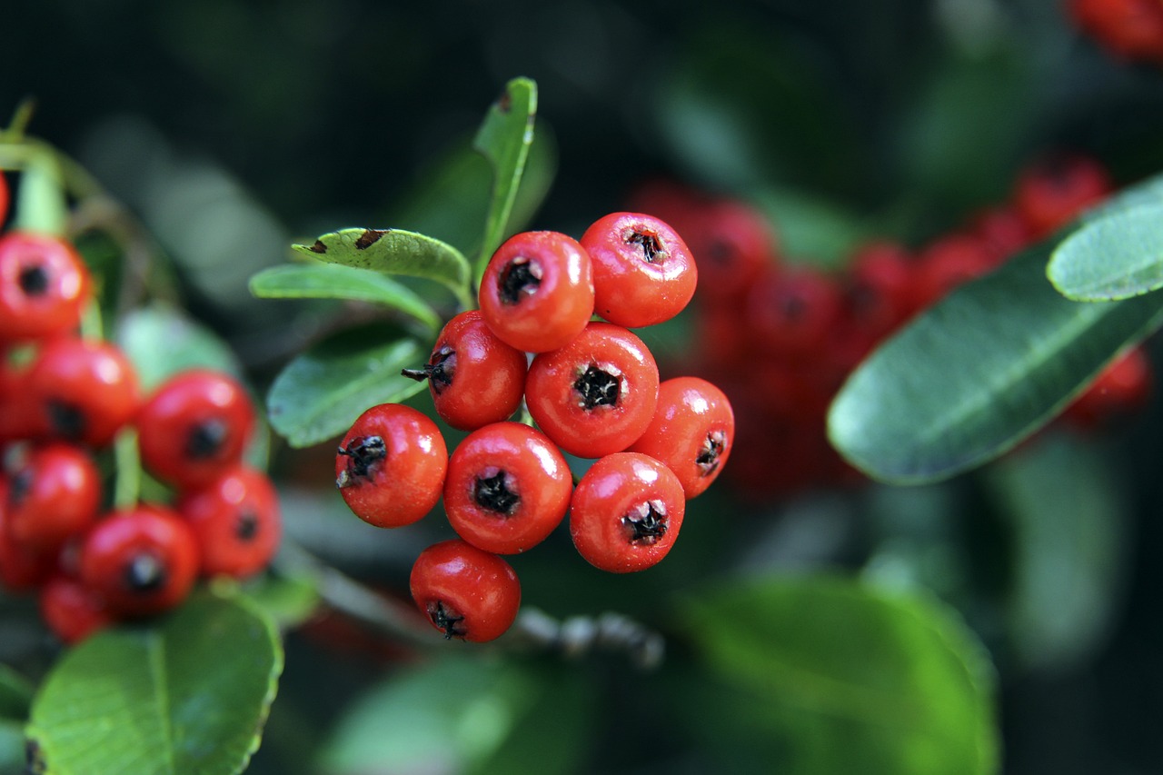 他球队产生 他球队产生