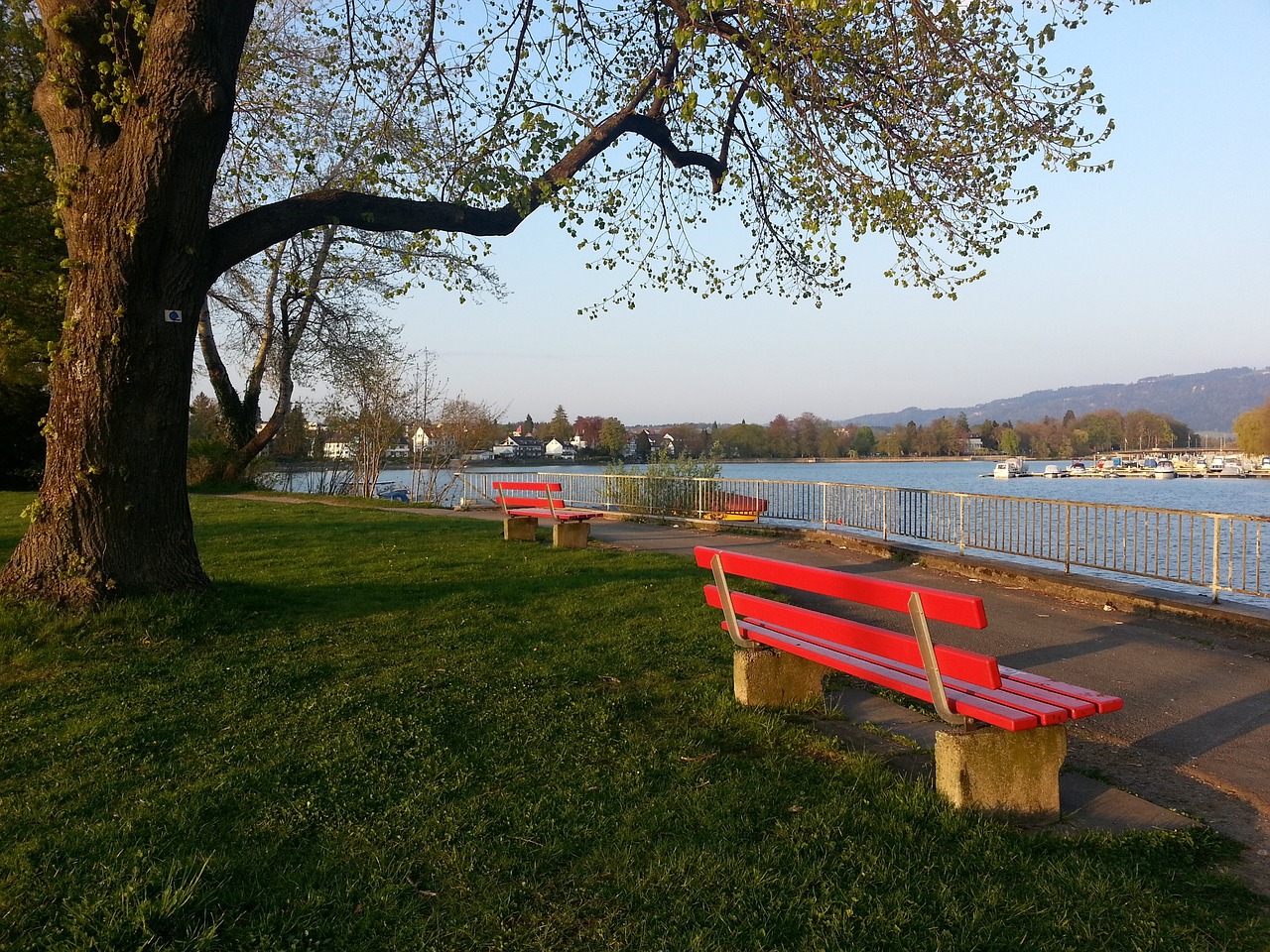 育文化的目 育文化的目