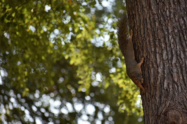 代历史的重 代历史的重