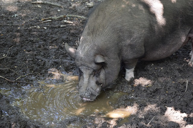 驗戰術實力 驗戰術實力